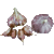 Naturally Grown Chesnok Red Bulk (Purple Stripe)