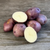 Organic Caribe Potato