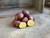 Organic Cheshire Potato