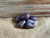 Organic Magic Molly Potato