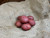 Organic Red Lasoda Potato