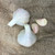 Naturally Grown German White Stiffneck Bulk (Porcelain)