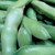 Windsor Fava Bean
