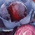 Red Express Cabbage