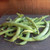 Organic Blue Lake 274 Bush Bean