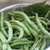 Organic Blue Lake Fm1K Pole Bean