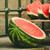 Organic Crimson Sweet Watermelon