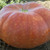 Organic Cinderella Pumpkin