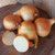 Organic Dutch Yellow Shallot
