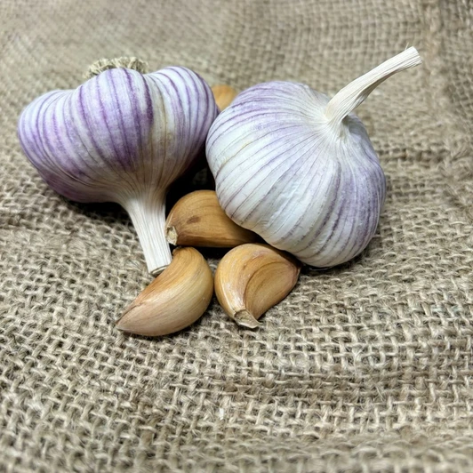 Naturally Grown Moghadam (Rocambole)