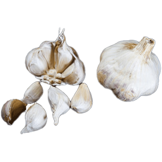 ORGANIC AGLIO BLANCO (Artichoke)
