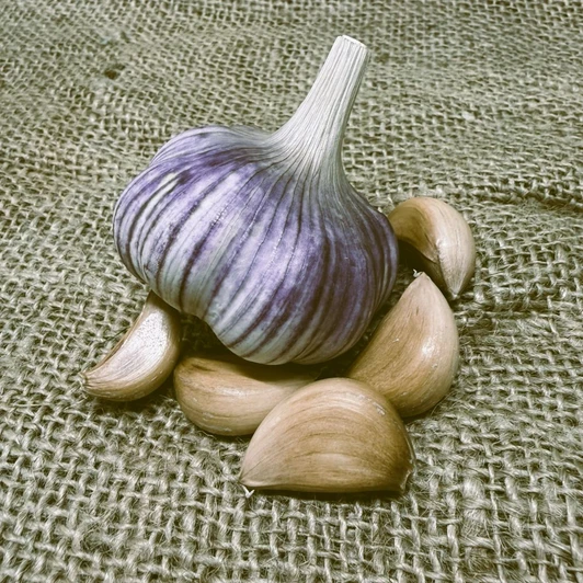 Organic Brown Saxon (Rocambole)