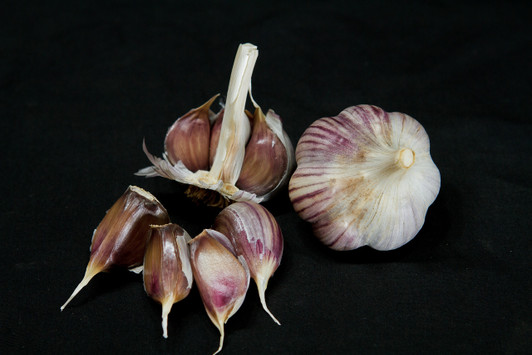 BZENEC Organic Garlic Seed BZENEC Organic Garlic Seed