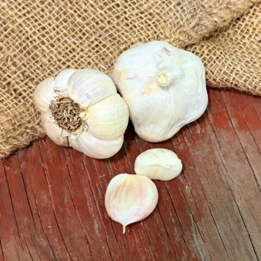 Organic California Early Bulk (Artichoke)