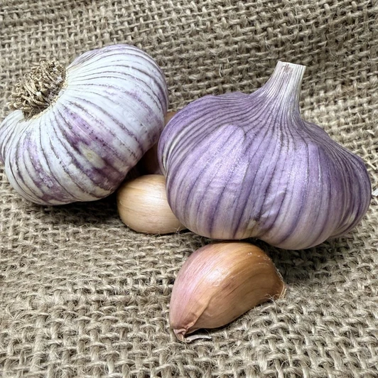 Organic China Stripe (Turban)