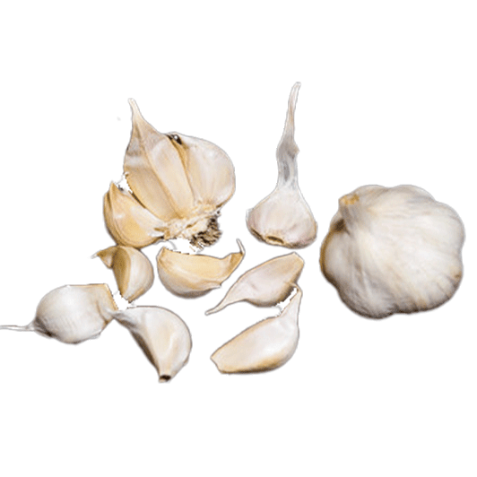 ORGANIC CHOPAKA MOUNTAIN (Artichoke)