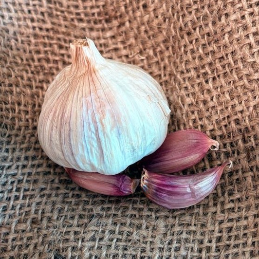 Organic Creole Red