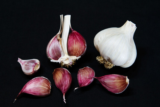 CREOLE RED Organic Garlic Seed