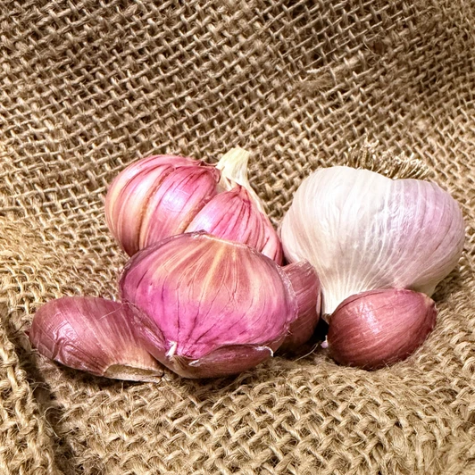 Organic Donostia Red (Creole)