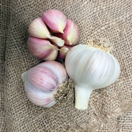 Organic Georgian Fire (Porcelain)
