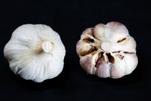 GERMAN RED Garlic