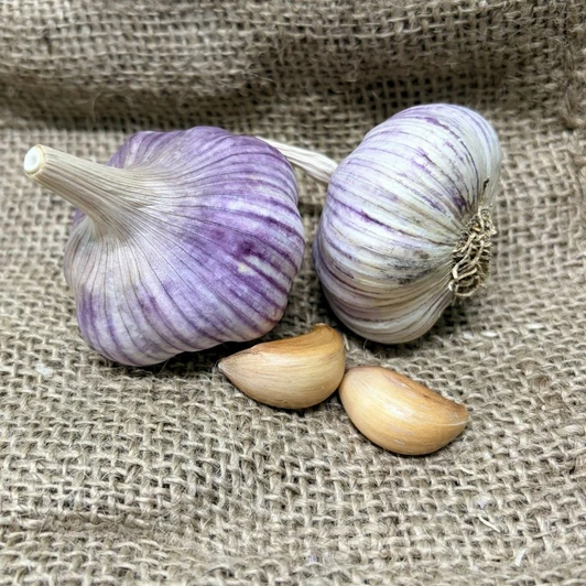 Organic Killarney Red Bulk (Rocambole)