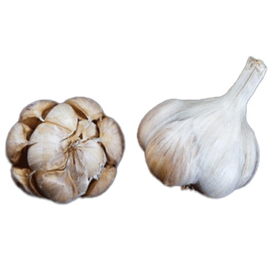 ORGANIC LUKAN (Artichoke)
