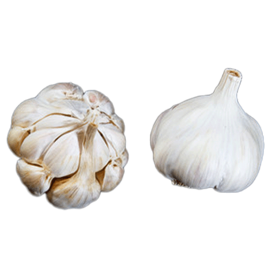 ORGANIC MILD FRENCH  BULK (Silverskin)