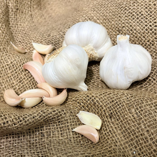 Organic Mexican Red Silver (Silverskin)