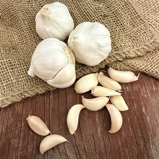 Organic Nootka Rose (Silverskin)