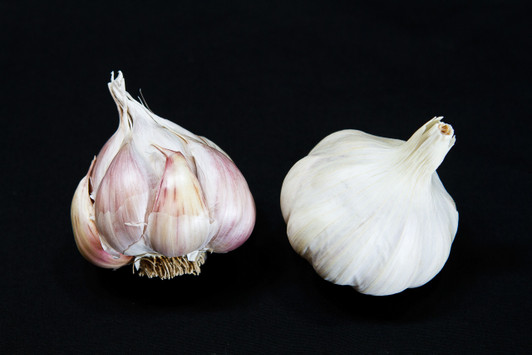 nootka rose garlic