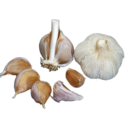 ORGANIC PITARELLI (Rocambole)
