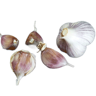 ORGANIC PSKEM (Marbled Purple Stripe)