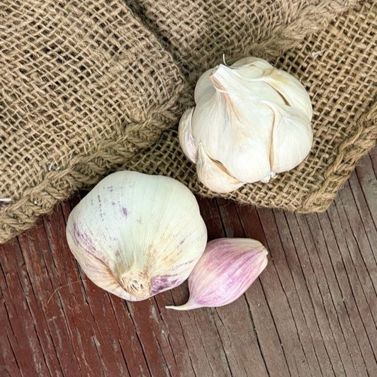 Organic Polish White Bulk (Artichoke)