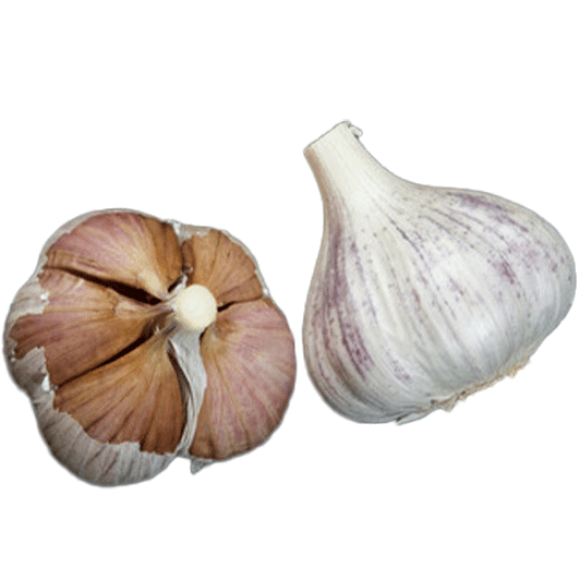Organic Pyong Yang (Asiatic)