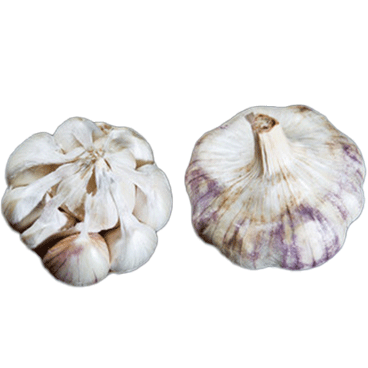 Organic Red Toch Bulk (Artichoke)
