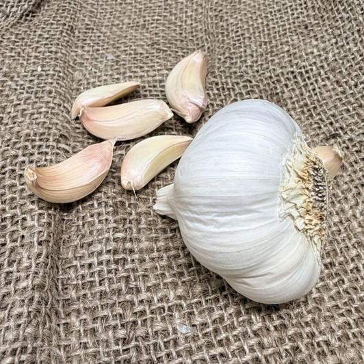 Organic S & H Silver Bulk (Silverskin)