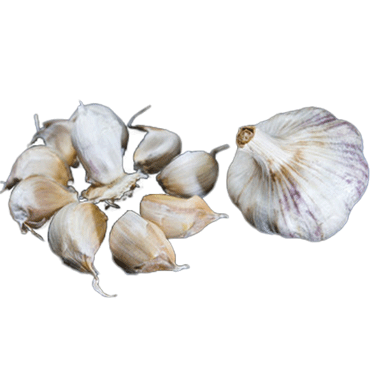 ORGANIC SICILIAN ARTICHOKE BULK