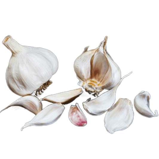 ORGANIC SICILIAN SILVER (Silverskin)