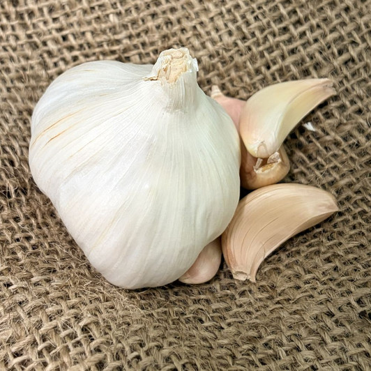 Organic Sicilian Silver (Silverskin)