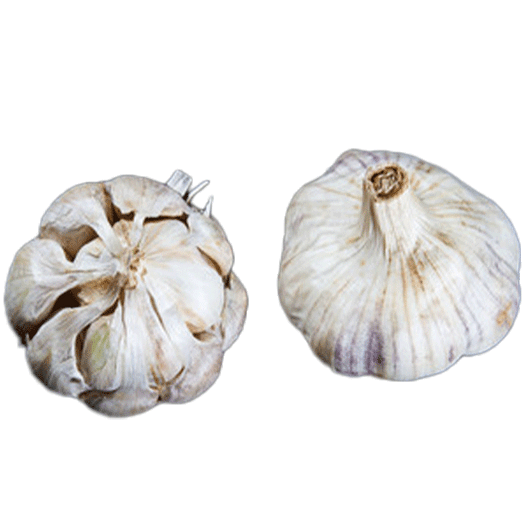 ORGANIC SUSANVILLE (Artichoke)
