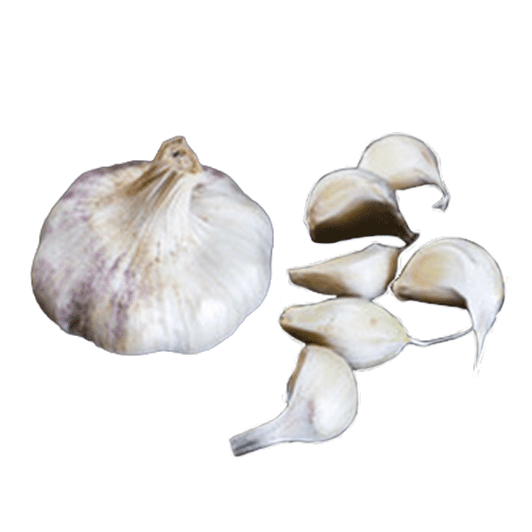 ORGANIC TRANSYLVANIAN (Artichoke)