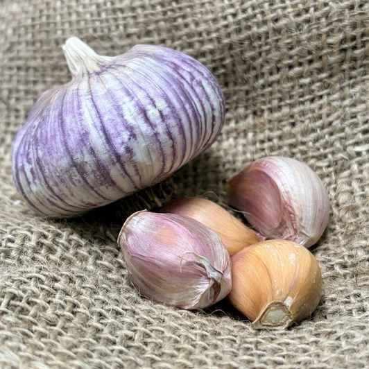 Organic Uzbek (Turban)