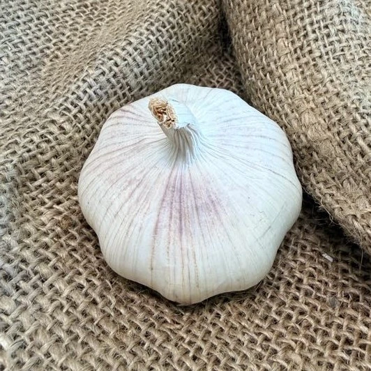 Organic Xian (Turban)