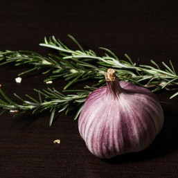 Food Garlic