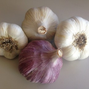 Organic Small Garden Pack