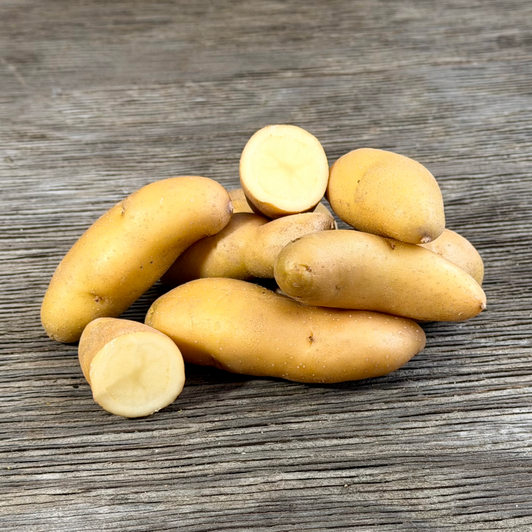 Organic Russian Banana Fingerling