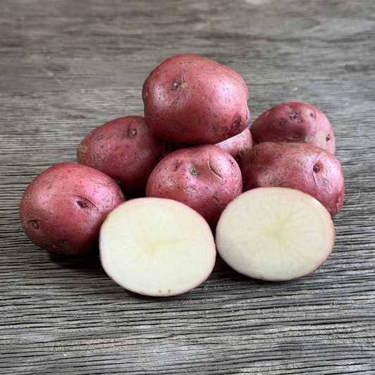 Organic Red Pontiac Potato