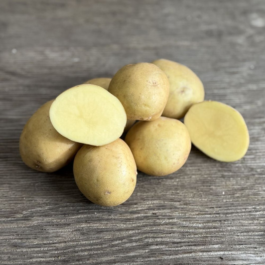 Organic Yukon Gold Potato