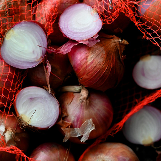 Organic Dutch Red Shallot - Spring